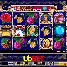 Ubbet,Ubbet.Com